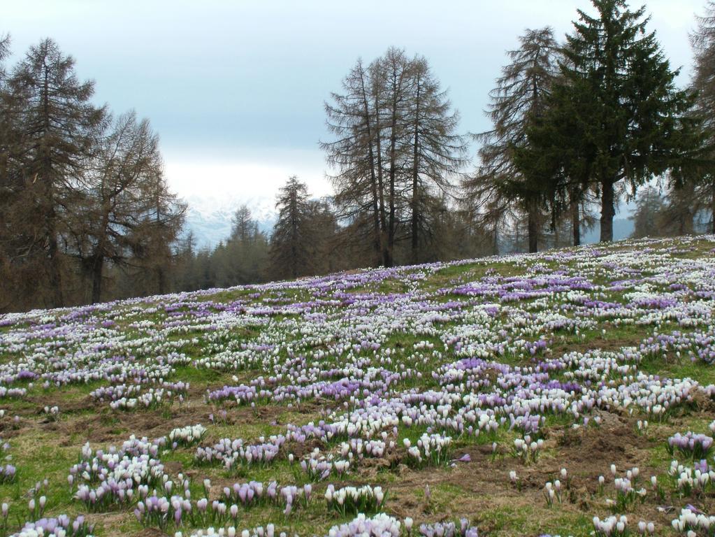 Вилла Kastnerhof Мельтина Экстерьер фото